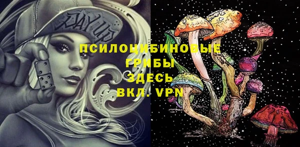 СК Михайловск