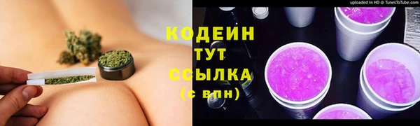 СК Михайловск