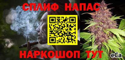 гидра Гусиноозёрск