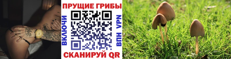 Псилоцибиновые грибы Magic Shrooms  Купить закладки  Новосибирск 