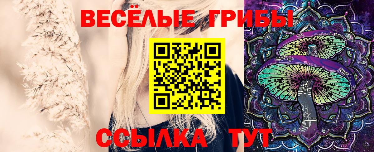 Галлюциногенные грибы ЛСД Новосибирск