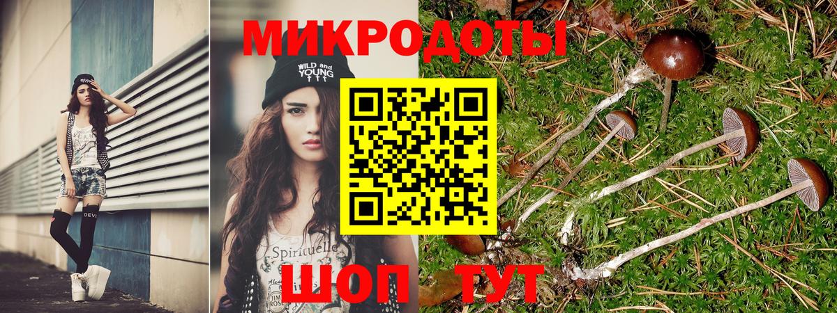 Галлюциногенные грибы Psilocybine cubensis  Новосибирск 