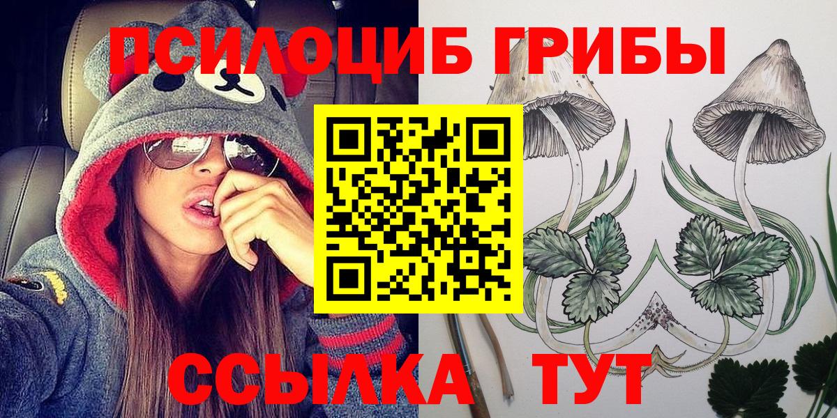 Новосибирск  Псилоцибиновые грибы прущие грибы  купить наркотики цена  Псилоцибиновые грибы Magic Shrooms  Вход с VPN 