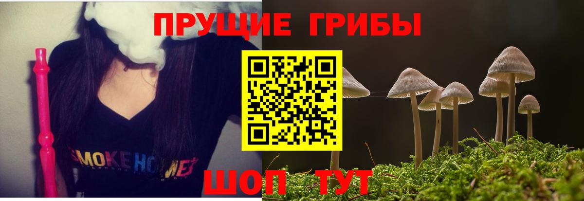 Псилоцибиновые грибы GOLDEN TEACHER Новосибирск